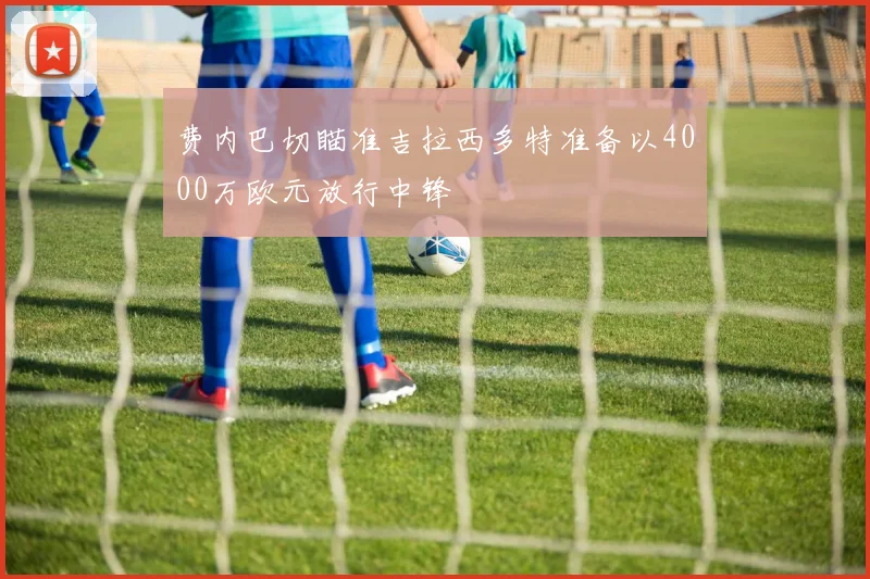 费内巴切瞄准吉拉西多特准备以4000万欧元放行中锋