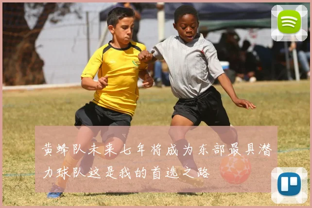 黄蜂队未来七年将成为东部最具潜力球队这是我的首选之路